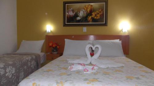 Maragogi Hotel | Pousada Maragolfinho