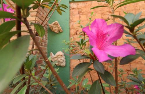 Sao Sebastiao das Aguas Claras Hotel | Pousada Maria Bonita