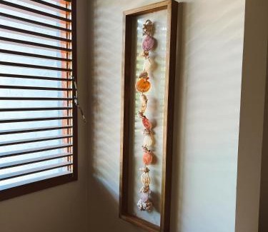 Ponta do Seixas Apartment | Pousada Minha Praia