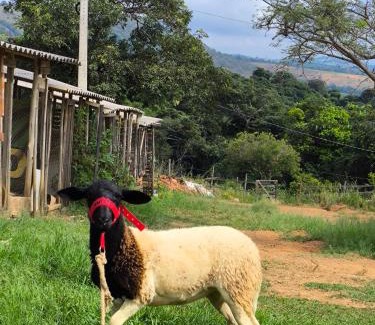 Guape Hotel | Pousada Mirante dos Ipês - Capitólio - MG