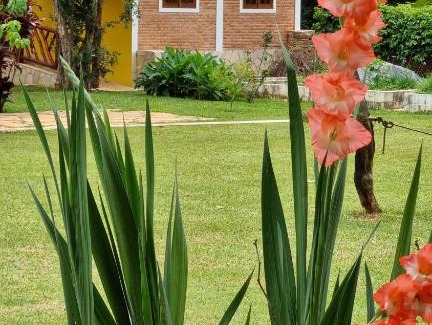 Southeast Region Hotel | Pousada Muro de Pedra