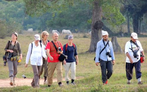 Pocone Bed & Breakfast | Pousada Piuval