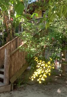 Prumirim Hotel | Pousada Prumirim Surf Suítes