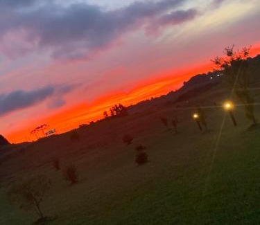 Sao Joaquim Hotel | Pousada Querência Tarumã