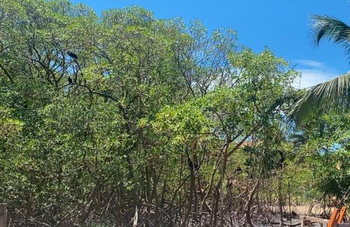 Corumbau Cabin | Pousada Raizes da Terra - Ponta do Corumbau