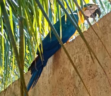 Santa Fe do Sul House | Pousada Rancho as margens do Rio Paraná com 3 suites e vista para o rio , excelente para pescaria