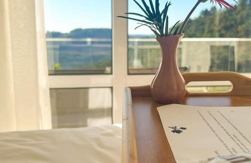 Bento Goncalves Apartment | Pousada San Doná