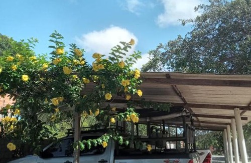 Jericoacoara Hotel | Pousada Trilha das Dunas