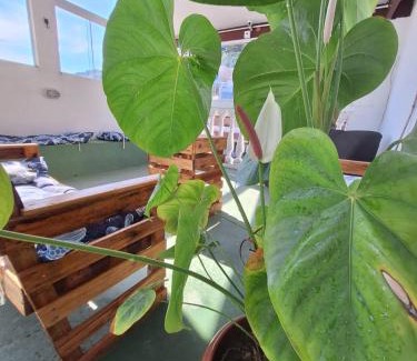 Taio Bed & Breakfast | Pousada Velha Tartaruga