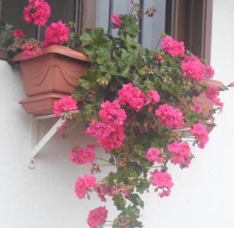 Nova Petropolis Hotel | Pousada Verde Paraíso