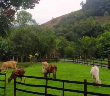 Vidal Ramos Other | Pousada Vidal Ramos