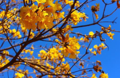 Serra do Cipo Hotel | Pousada Vila Cipó