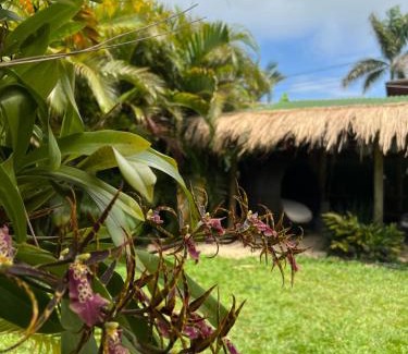 Pinheira Hotel | Pousada Vila Piola