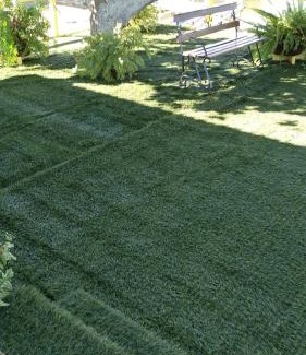 Altamira Hotel | Pousada Xingu Araras