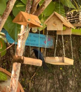 Buenopolis Bed & Breakfast | Pousadinha Machado