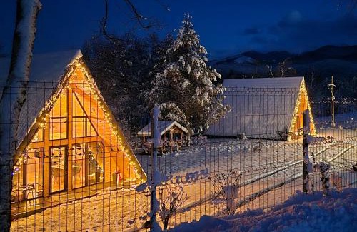 Arpasu de Sus Ski Chalet | Povestea din Munti