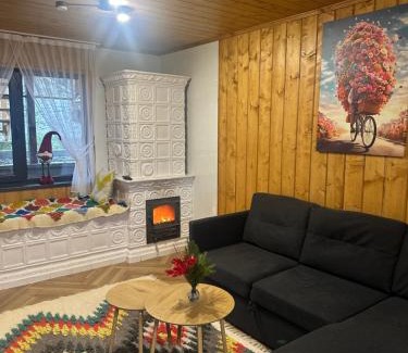 Mizhhirya House | Power Place