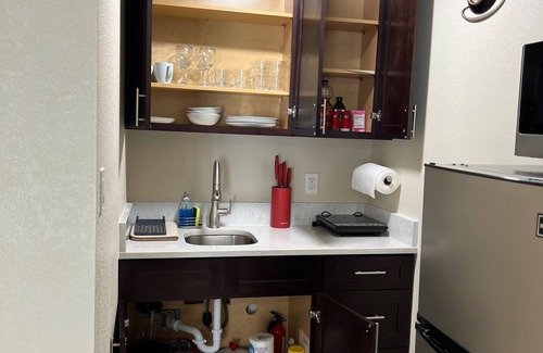 Egypt Lake-Leto Apartment | Powhatan suite 2 just 5 mins away from Raymond James Stadium.
