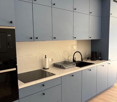 Grunwald Apartment | Poznań Przytulne Apartamenty Leśnych Skrzatów