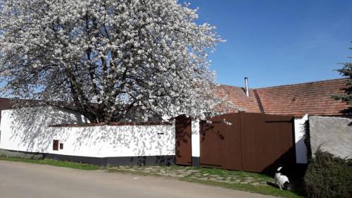 Okrouhla Apartment | Prázdninová chalupa s uzavřeným dvorem a zahradou