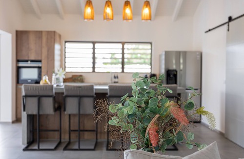 Jan Thiel Villa | *PRACHING* The Luxury 8 person Villa Vista Lena in the neighborhood of Jan Thiel. See 🎥!
