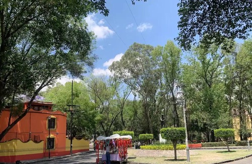 La Concepcion House | Preciosa casa en el corazón de Coyoacán