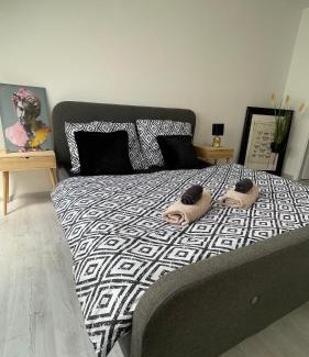 Trnava Apartment | Premier City Apartment & Heart of Downtown & Parking Included & 12am checkout