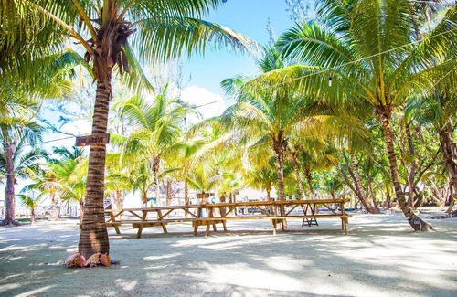 Thatch Caye Resort | Premier Overwater Bungalow w/Air-Conditioning, Patio, & Stunning Ocean Views