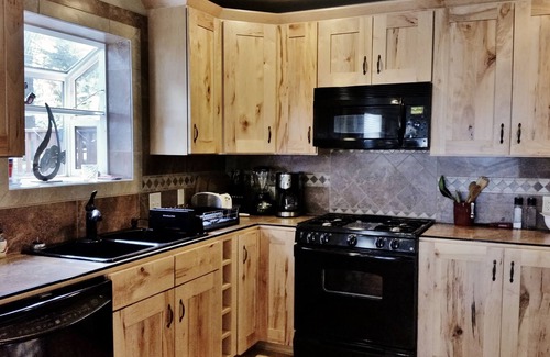 Peninsula Village Cabin | Premiere Family-Friendly Lakeside Cabin, Beautiful Views, Free Dock & Boat Slip