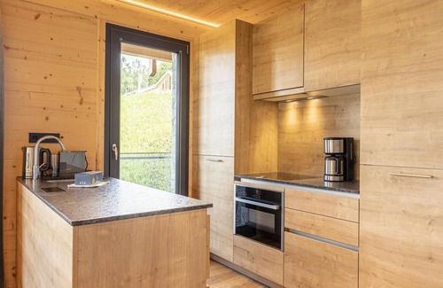 Haus im Ennstal Apartment | Premium apartment with sauna