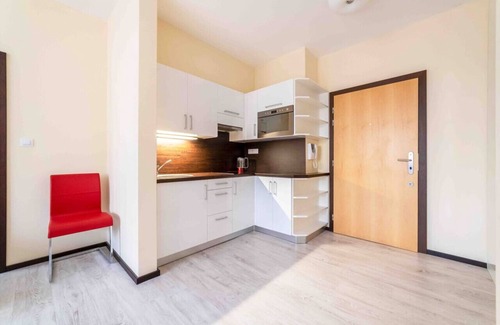 Karlovy Vary Apartment | Premium Imperial Apartment near Hot Springs