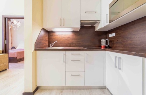 Karlovy Vary Apartment | Premium Imperial Apartment near Hot Springs