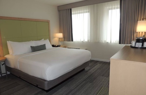 Medical Center Area Hotel | Premium King Room, The Inn at Longwood Medical, Comfortable Stay, Next to HMS