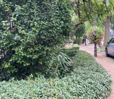 Mittelmeiderich Apartment | Premium Ruhiges ganzes Apartment 90 m 2 Schlafzimmer große Küche Wohnzimmer