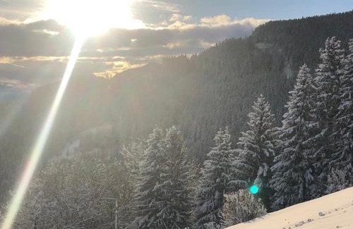 Sankt Peter am Kammersberg Ski Chalet | Premiumalmhütte Wiedhupf