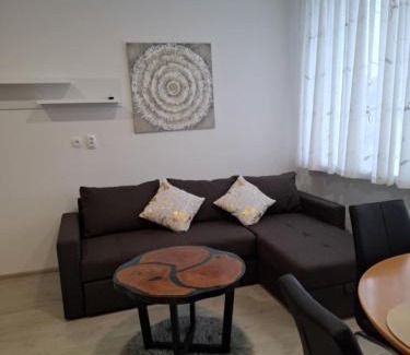 Dravograd Apartment | Prenočišča Dany 2