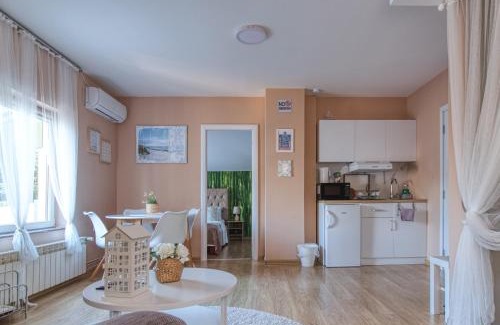 Stari Banovci Apartment | Prenociste Dunav 97 K6