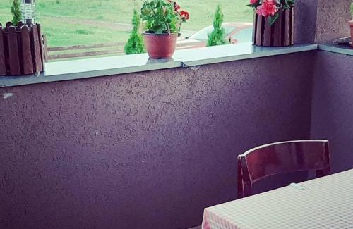 Sjenica Apartment | Prenociste Melina