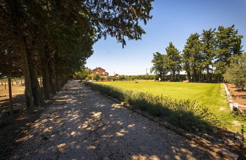 Courthezon House | PRESTIGIOUS HOUSE "THE HOUSE OF VENTOUX