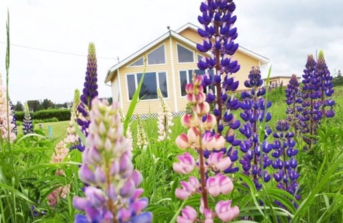 Morell Cottage | Prestine Beach on Private road steps away!
