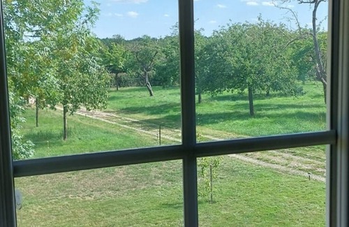 Landepereuse House | Pretty Norman house with orchard