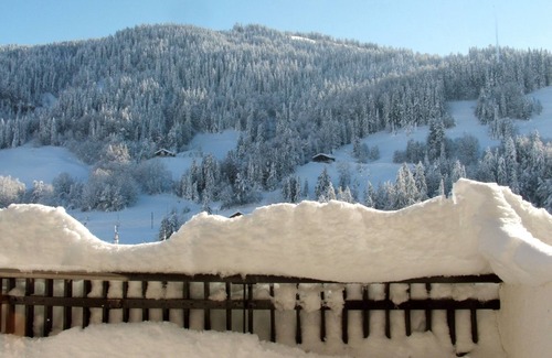 Flumet Apartment | Pretty, spacious studio, calm, sunny, to 50km Chamonix and Annecy, 8km Megève