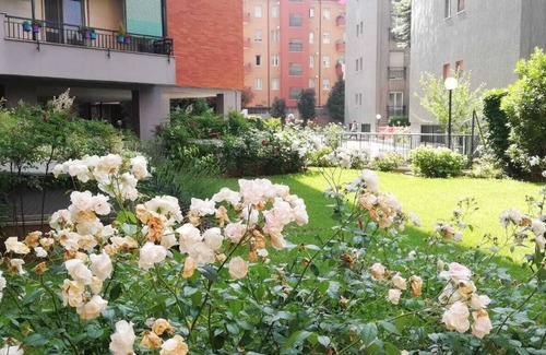 Rondinella - Baraggia - Restellone House | PRETTY TWO-ROOM APARTMENT 5 MINUTES FROM THE METRO