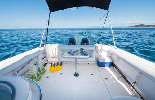 Coco Boat Rental | Pretty Vane 32' ProLine-Walk Around-A/C Cabin