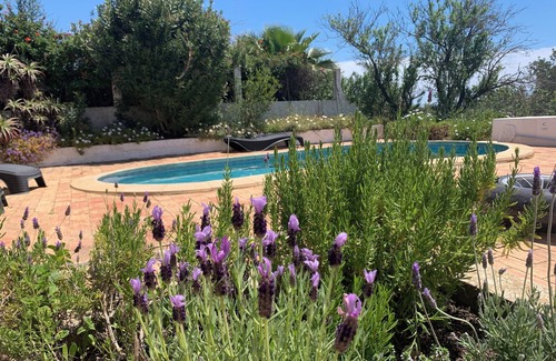Boliqueime Villa | Pretty Villa With Private Pool And Garden (24005/AL)