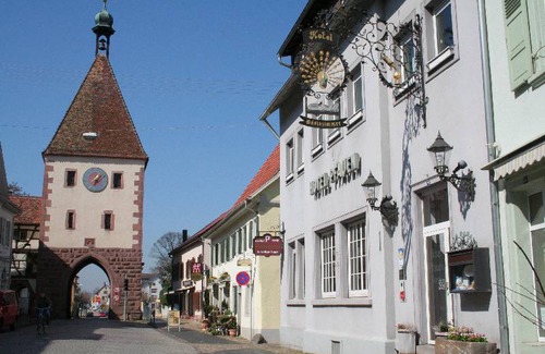 Endingen am Kaiserstuhl Resort | Private room ∙ 4 guests
