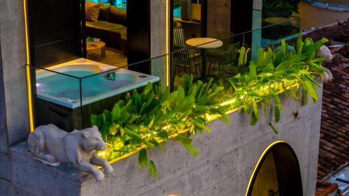 Zona Rosa Hotel | Primavera Luxury Apartments Medellin