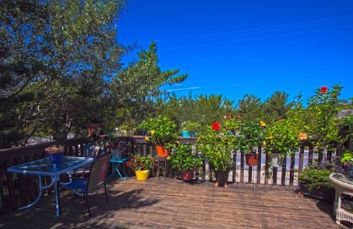 Cape May Point House | Prime Beach Block Location Across from Ocean