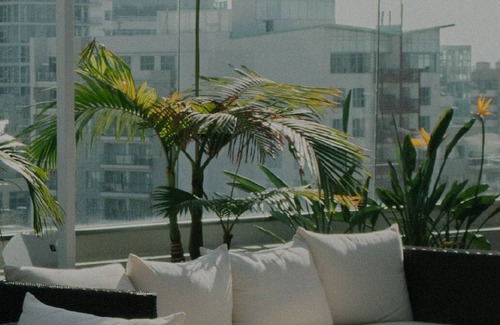 St. Elizabeth's Apartment | Prime Brighton 1BR w/W/D, Gym, near T, Shops + Dining, by Blueground