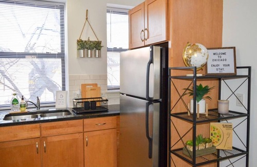 Hyde Park Apartment | Prime Location! 3BRGem near University of Chicago